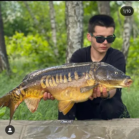 Turyanskiy Dvir Tur'ya Polyana