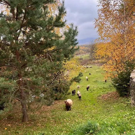 Turyanskiy Dvir Resort Tur'ya Polyana