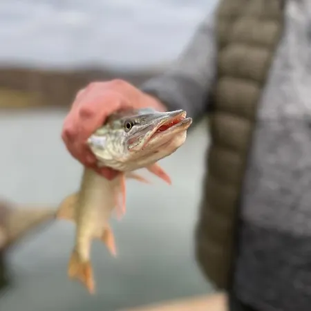 Turyanskiy Dvir Tur'ya Polyana