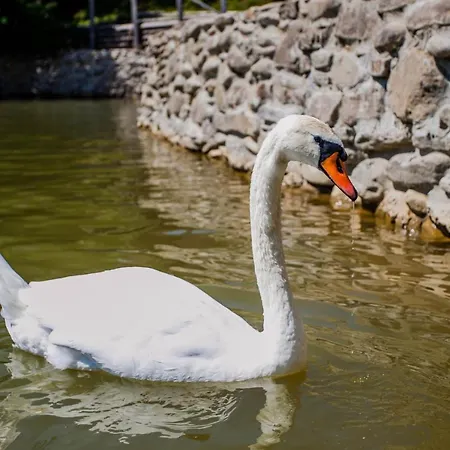 Turyanskiy Dvir Resort Tur'ya Polyana