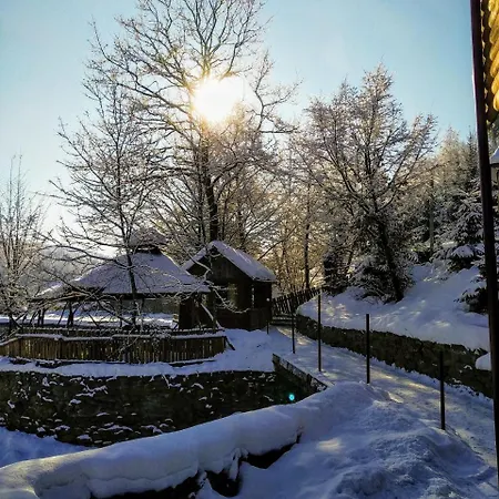 Turyanskiy Dvir Tur'ya Polyana