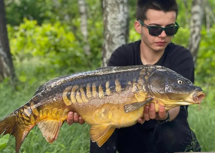 Turyanskiy Dvir Tur'ya Polyana
