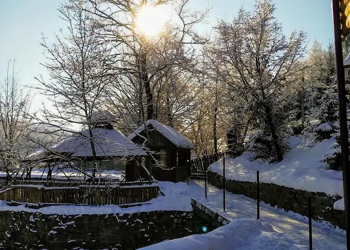 Turyanskiy Dvir Tur'ya Polyana